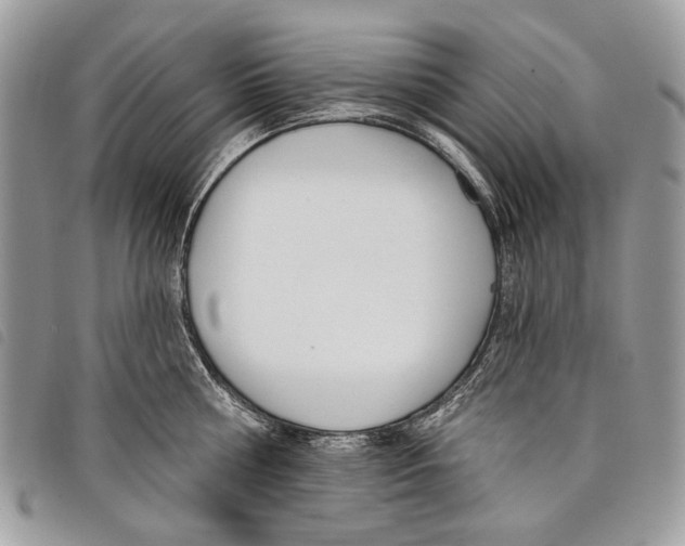 X0000097810810200804110949