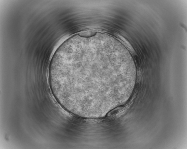 X0000097810812200804110949