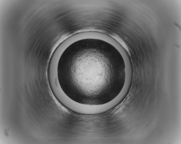 X0000097810813200804110949