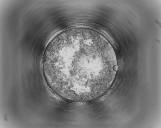 X0000097810814200804110949