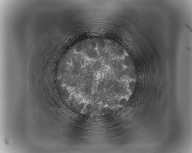 X0000097810817200804110948