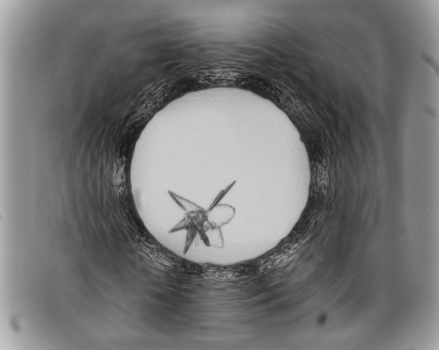 X0000097810818200804110948