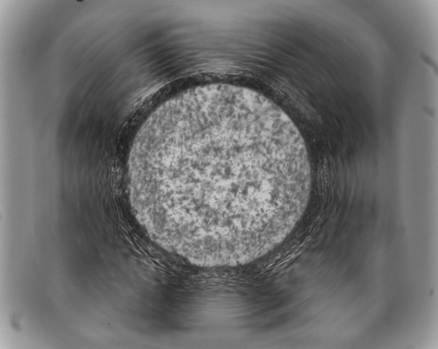 X0000097810822200804110948