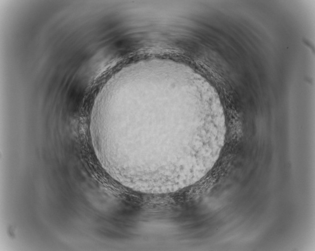 X0000097810824200804110948