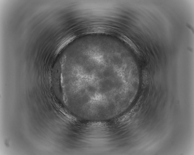 X0000097810826200804110948