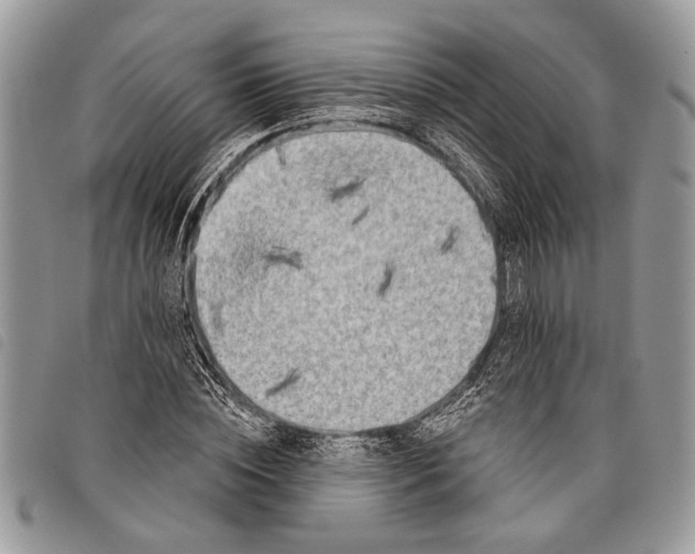 X0000097810828200804110948