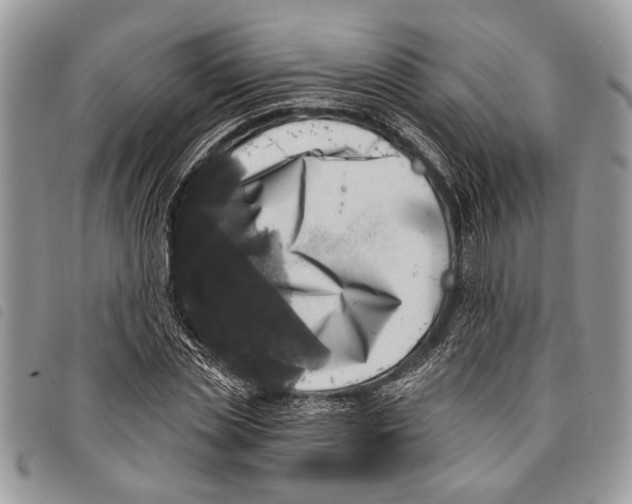 X0000097810829200804110948