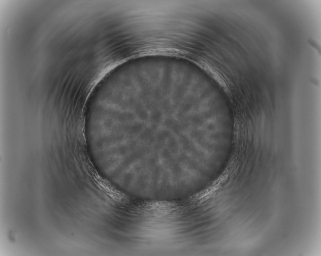 X0000097810830200804110948