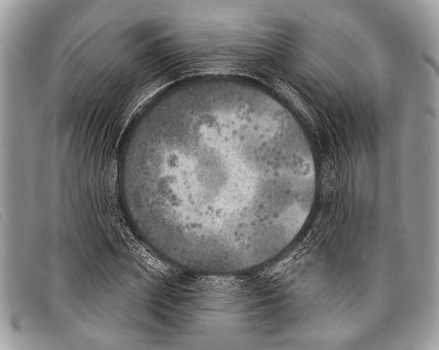 X0000097810831200804110948