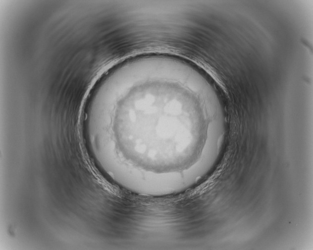 X0000097810832200804110948