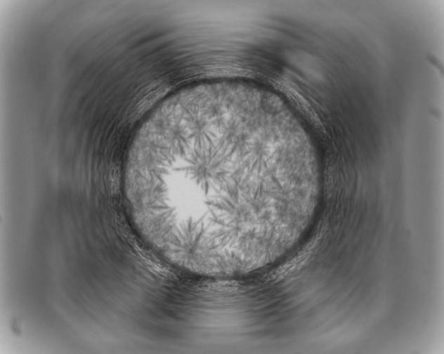 X0000097810833200804110948