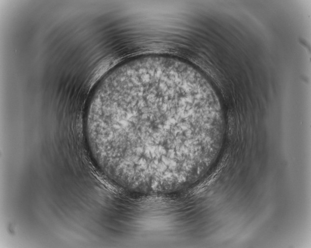 X0000097810834200804110948