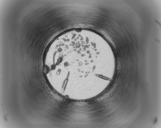 X0000097810837200804110948