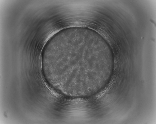 X0000097810838200804110948