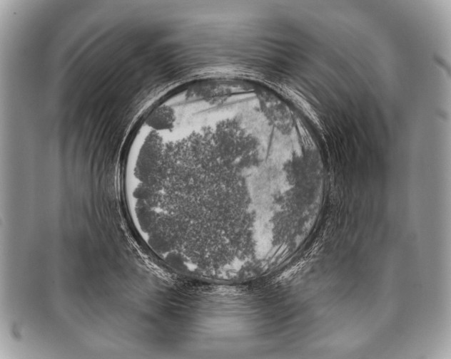 X0000097810839200804110949