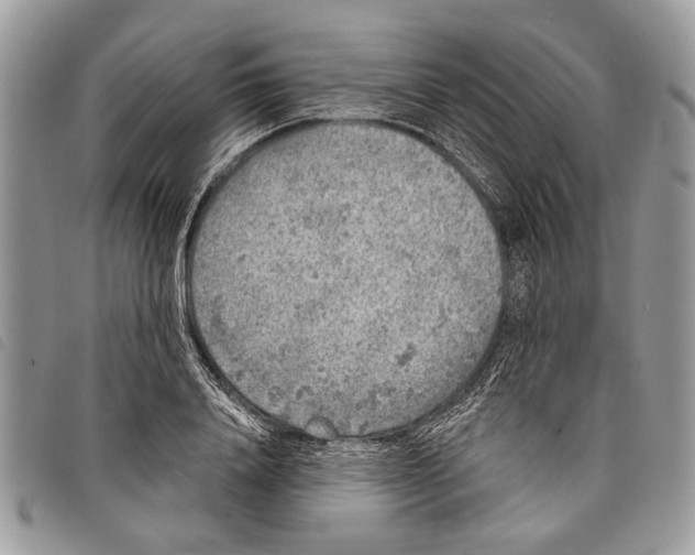 X0000097810840200804110949