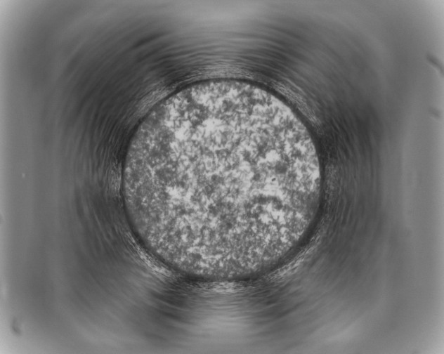 X0000097810841200804110949