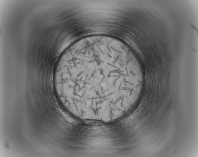 X0000097810842200804110949