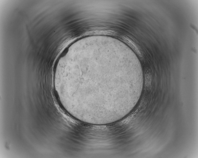 X0000097810844200804110949