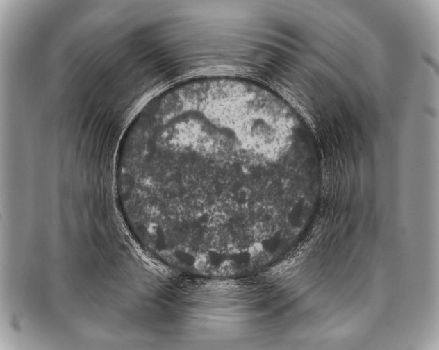 X0000097810845200804110949