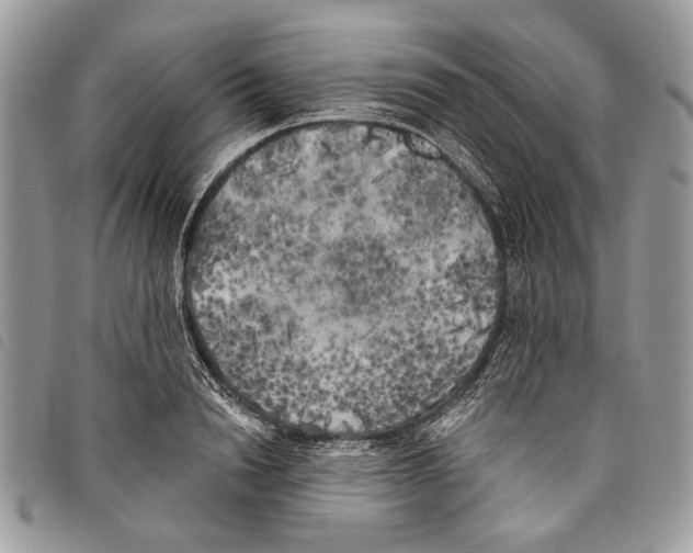 X0000097810846200804110949