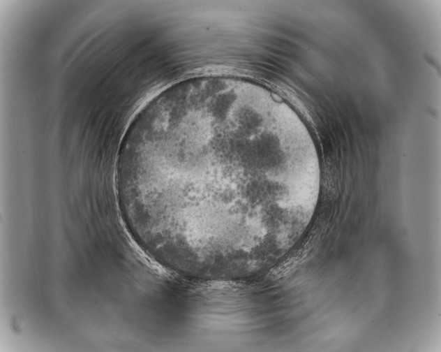 X0000097810847200804110949