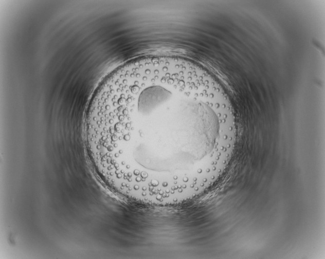 X0000097810848200804110949