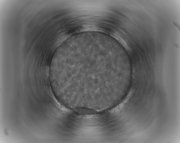 X0000097810849200804110949