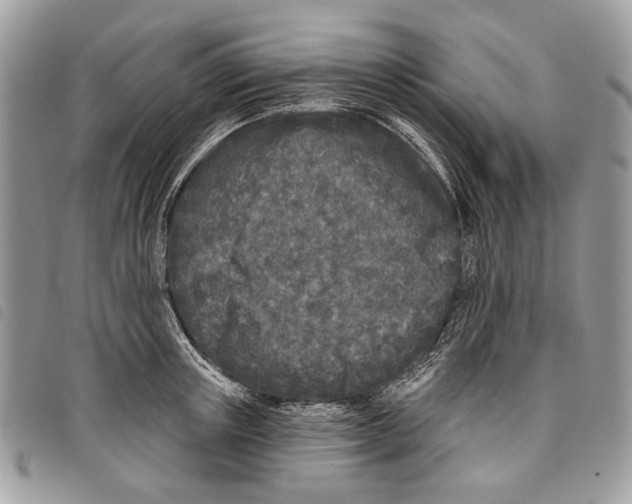 X0000097810851200804110949