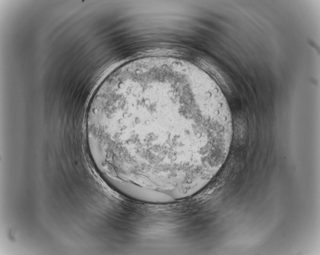 X0000097810852200804110949