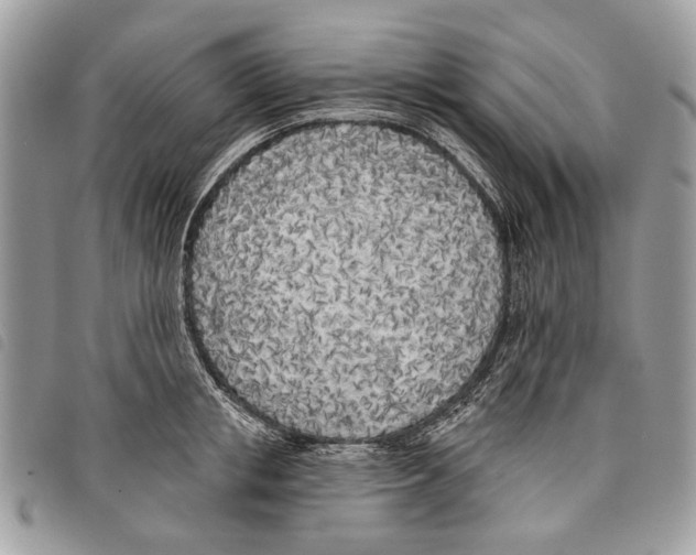 X0000097810853200804110949