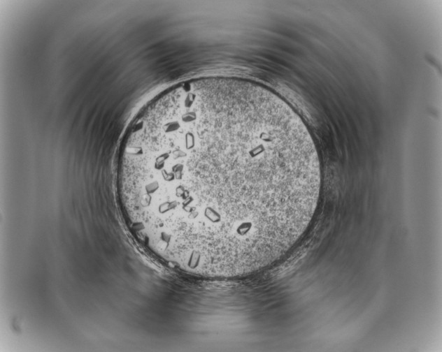 X0000097810854200804110949