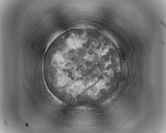 X0000097810855200804110949