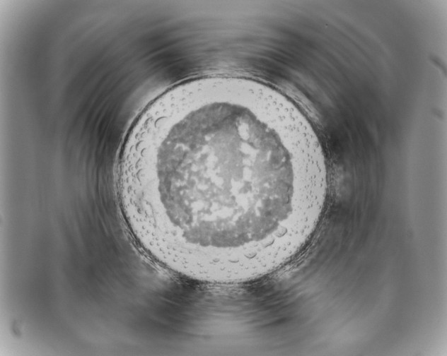 X0000097810856200804110949