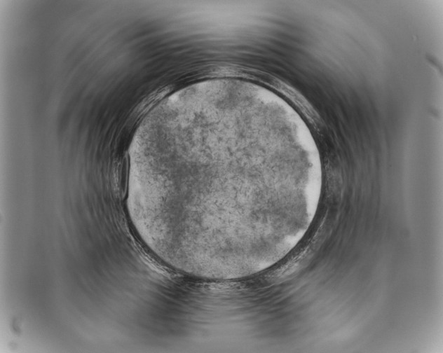 X0000097810857200804110949