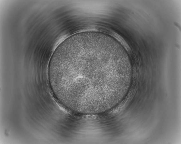 X0000097810858200804110949