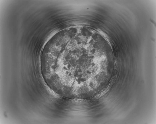 X0000097810859200804110949