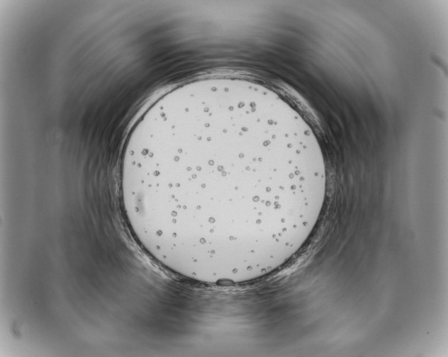 X0000097810860200804110949