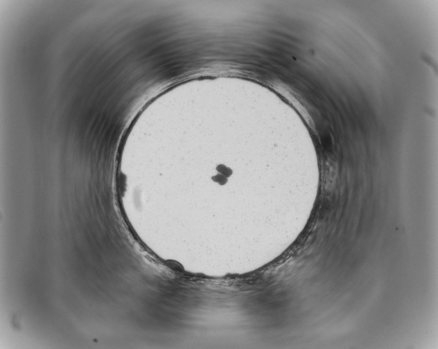 X0000097810861200804110949