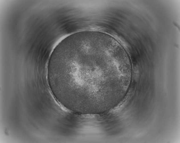 X0000097810862200804110949