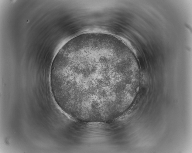 X0000097810863200804110949