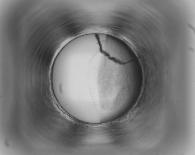 X0000097810864200804110949