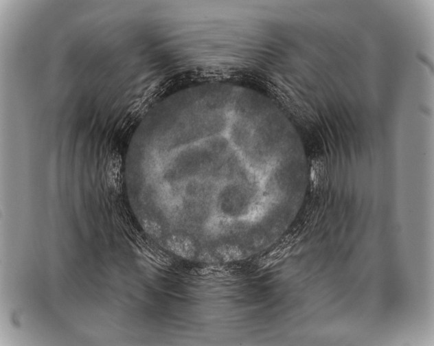 X0000097810867200804110948