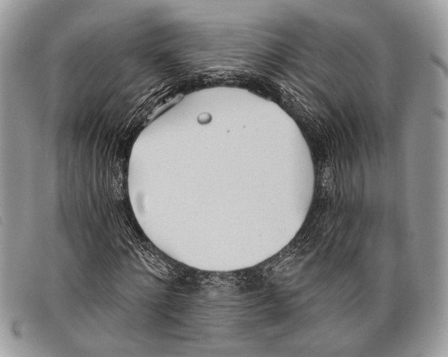 X0000097810868200804110948