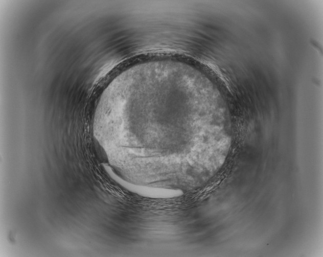 X0000097810871200804110948