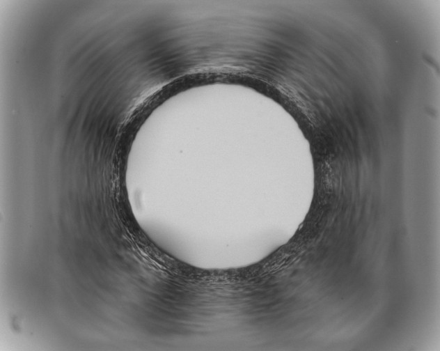 X0000097810872200804110948