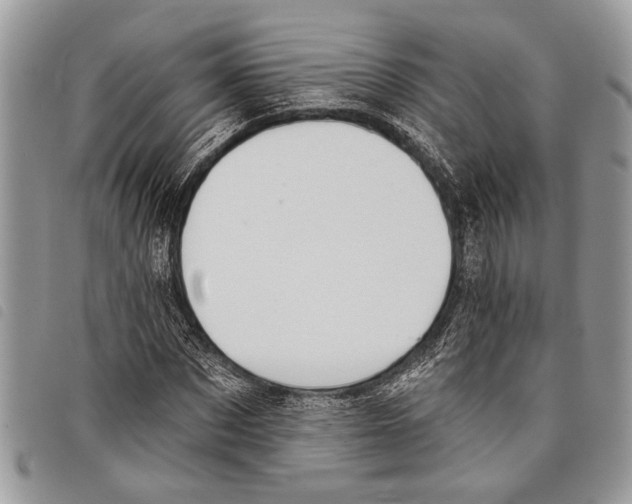 X0000097810873200804110948