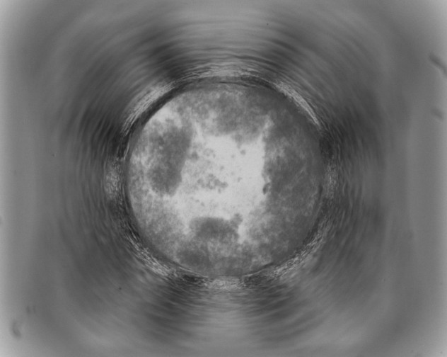 X0000097810874200804110948