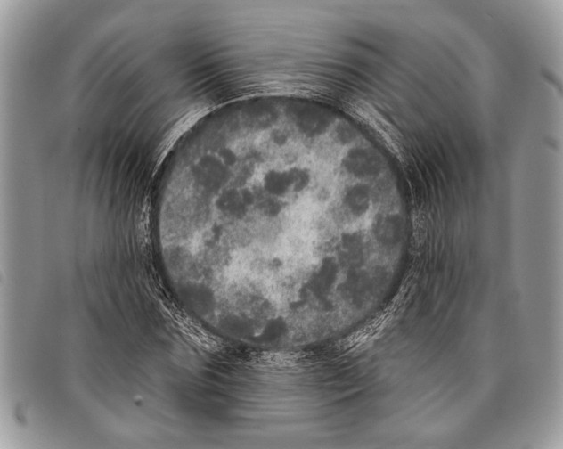 X0000097810875200804110948