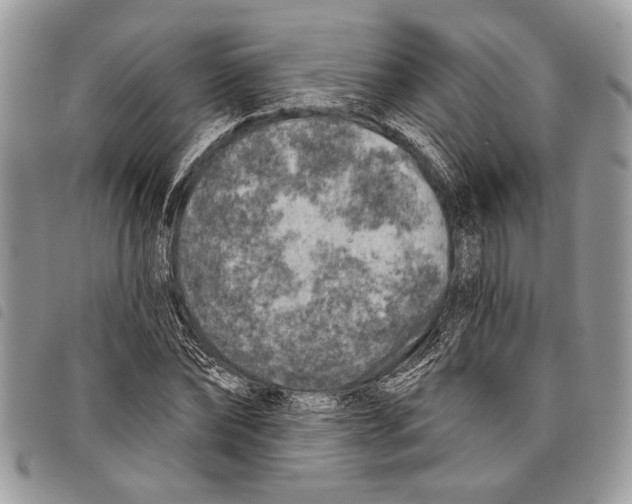 X0000097810878200804110948